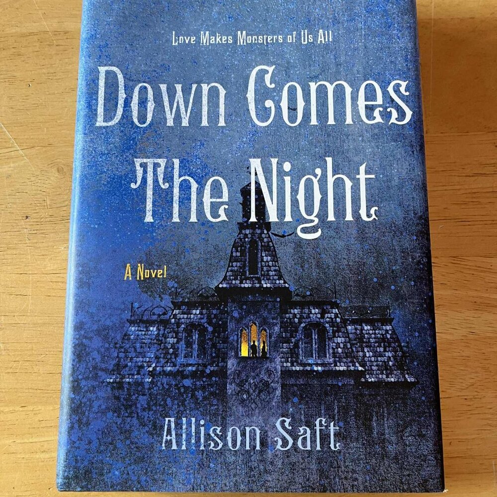 Down Comes The Night by Allison Saft